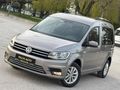 PIRIL PIRIL TERTEMİZ CADDY