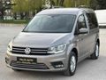 PIRIL PIRIL TERTEMİZ CADDY