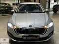 2023 OCTAVİA 1.0 E-TEC ELİTE-HATASZ-BOYASZ-HASARSZ-GRİ-139.000KM