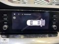 2023 OCTAVİA 1.0 E-TEC ELİTE-HATASZ-BOYASZ-HASARSZ-GRİ-139.000KM
