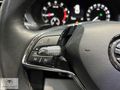 2023 OCTAVİA 1.0 E-TEC ELİTE-HATASZ-BOYASZ-HASARSZ-GRİ-139.000KM