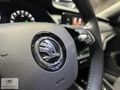 2023 OCTAVİA 1.0 E-TEC ELİTE-HATASZ-BOYASZ-HASARSZ-GRİ-139.000KM
