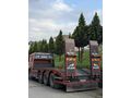 YENİ MUAYENELİ LOWBED