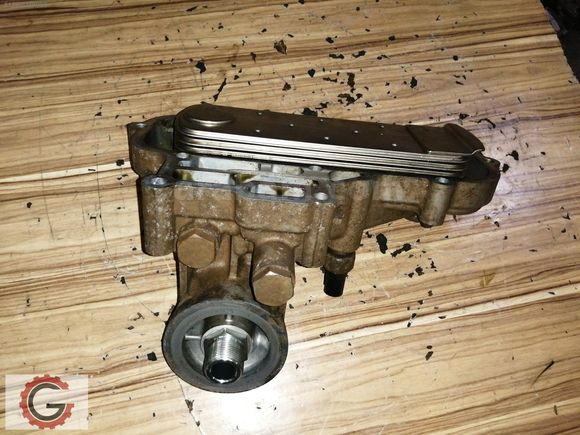 CARNİVAL 2900 YAĞ SOĞUTUCU