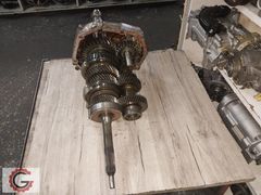 LEVEND ŞANZIMAN KOMPLE İÇ