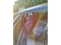 Sahibinden Renault Clio 1.2 Authentique 2004 Model