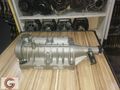 CARNİVAL 2900 BALANSÖR