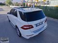 ML 350 BOYASIZ DEĞİŞENSİZ