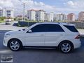 ML 350 BOYASIZ DEĞİŞENSİZ