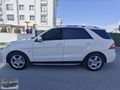 ML 350 BOYASIZ DEĞİŞENSİZ