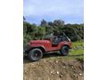 Sahibinden Jeep Willys Aydın