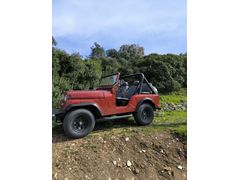 Sahibinden Jeep Willys Aydın