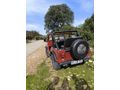 Sahibinden Jeep Willys Aydın