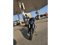 Temiz Bajaj Dominar 250 D
