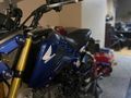 2014 HONDA MSX 125 LANSMAN RENGİ