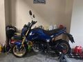 2014 HONDA MSX 125 LANSMAN RENGİ