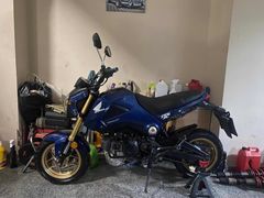 2014 HONDA MSX 125 LANSMAN RENGİ
