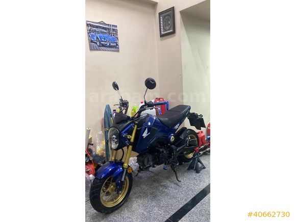 2014 HONDA MSX 125 LANSMAN RENGİ