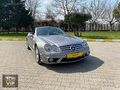 BURSA VİP OTOMOTİV SL 350 AMG