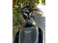 Yamaha X-Max 400 ABS