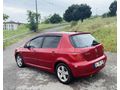  Masrafsız Peugeot 307