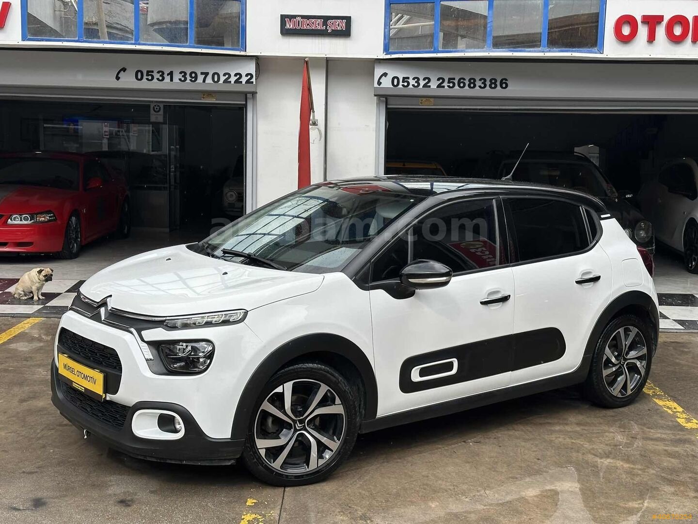 Galeriden Citroen C3 1.2 PureTech Shine 2023 Model İzmir 91.000 km Beyaz 6