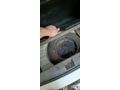 Sahibinden SIFIR MOTORLU Opel Corsa Van 1.3 CDTI 2005 Model