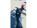 Sahibinden Regal Raptor Daytona 250 