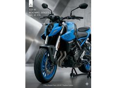 Sahibinden Suzuki GSX 8S Tekirdağ