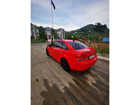 temiz  cruze