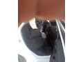 Sahibinden acillll Ford Focus 1.5 TDCi Style