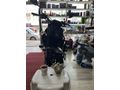 Mardin midyat  Honda CB 250 R 