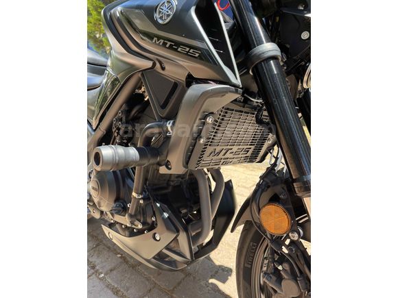 Sahibinden Yamaha MT 25 ABS 