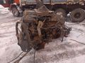 281 man motor 130luk sanzuman Muayer