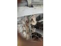 ASLI OTODAN SIFIR VİZELİ