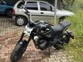 HAK AUTO-CF MOTO 250 CLX 2024