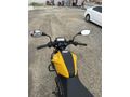 Tertemiz TVS Raider 125 