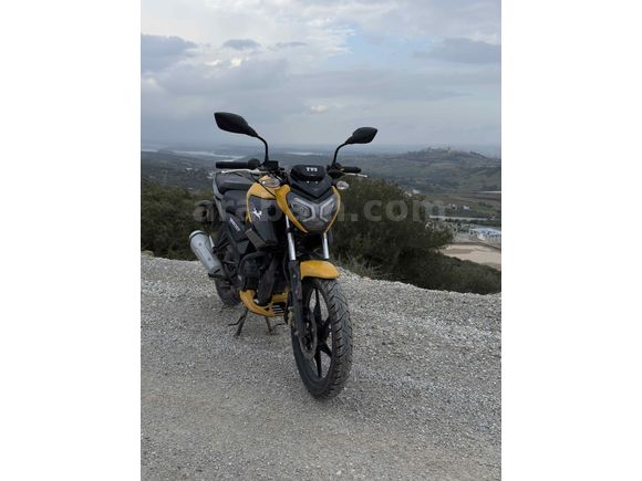 Tertemiz TVS Raider 125 