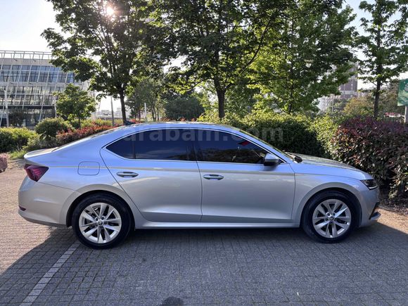 Sahibinden Hatasız Octavia 