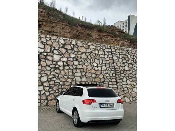 Audi  A3 cam tavan nadir temizlikte