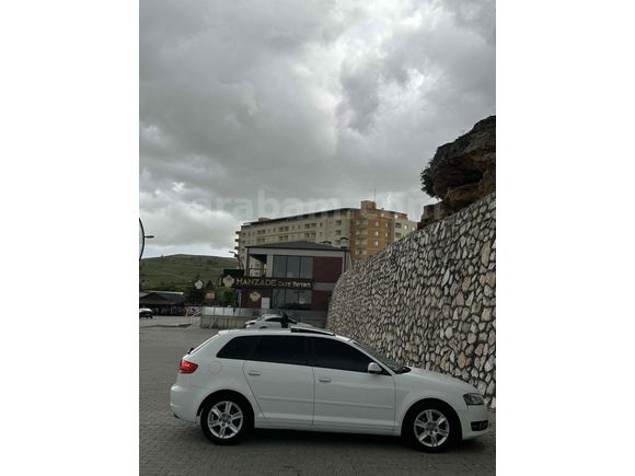 Audi  A3 cam tavan nadir temizlikte