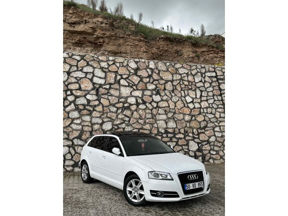 Audi  A3 cam tavan nadir temizlikte