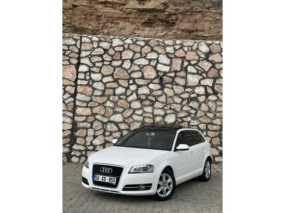 Audi  A3 cam tavan nadir temizlikte