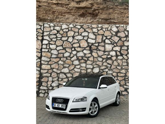 Audi  A3 cam tavan nadir temizlikte