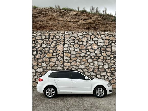 Audi  A3 cam tavan nadir temizlikte