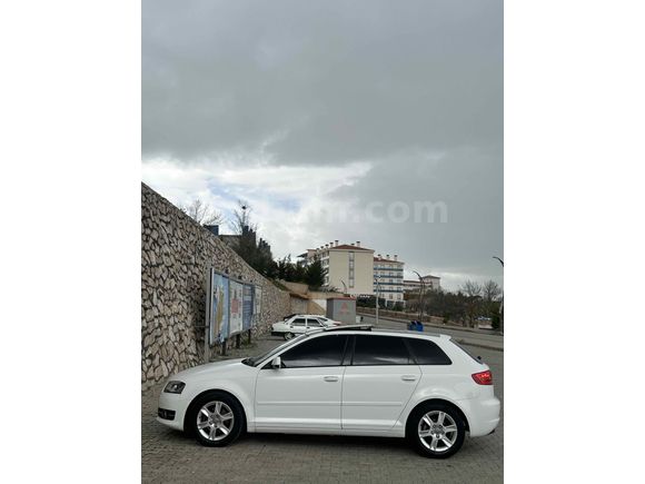 Audi  A3 cam tavan nadir temizlikte