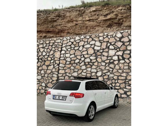 Audi  A3 cam tavan nadir temizlikte