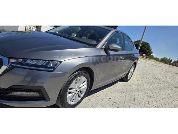 Sahibinden Skoda Octavia 1.0 e-Tec Elite 2024 Model