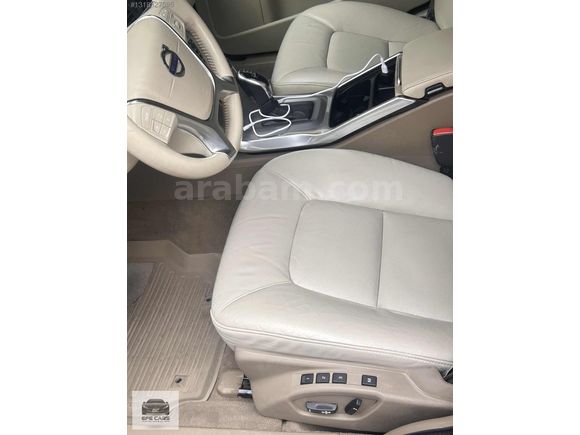 EFE CARS TAN HATSIZ BOYASIZ