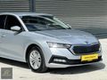 2021 HATASIZ SKODA OCTAVİA 1.0 E-TEC ELİTE CAR PLAY